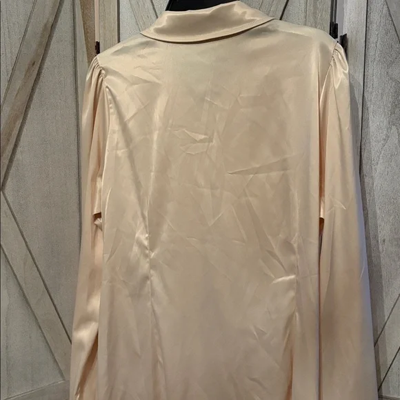 Fashion Nova Ivory Satin Shirt Dress - Picture 4 of 8